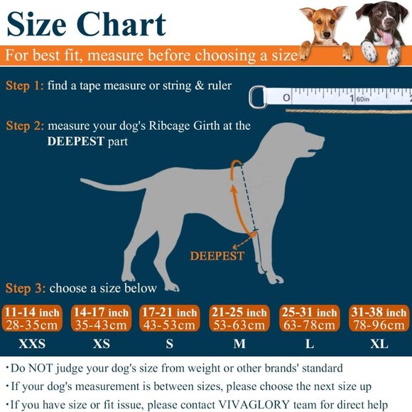 Dog Life Vest, Swimming Vest with Handle, Buoyancy for Dog Life Jacket, Size M - Picture 9 of 9